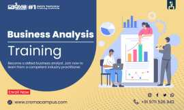 Business Analysis Course, Noida