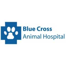 Blue Cross Animal Hospital, Kitchener