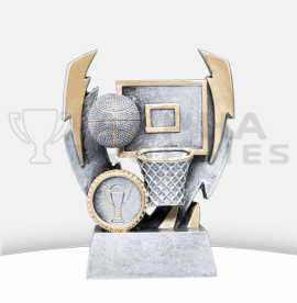 Get Antique Silver & Gold Basketball Trophies , $ 