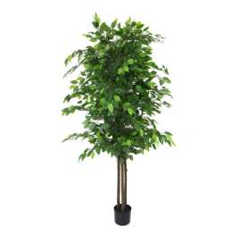 Inspiring Collection of Artificial Ficus Trees, $ 300