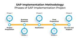 Begin SAP Implementation with Platinum Partner , Noida