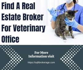 Find A Real Estate Broker For Veterinary Office, New York