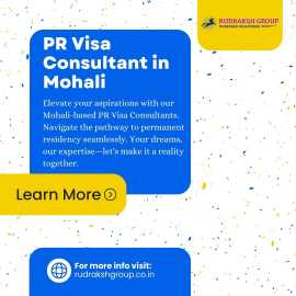 PR Visa Consultants in Mohali at Your Assistance, Mohali