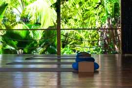 Best Yoga Retreats: A Journey into Wellness, Carrizal