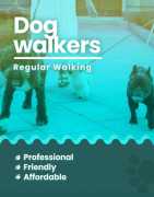 Searching Best Dog Walking Services Near You , Chennai