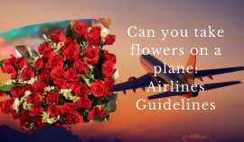 Can you take flowers on a plane: Airlines Guidelin