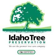 Idaho Tree Preservation, Boise