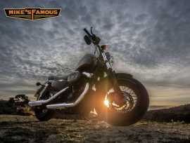CT Harley Dealers | Mikes Famous 