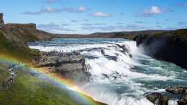 Private tour and transfer around Iceland | Puffin , Mosfellsbaer