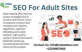 Traffic And Conversions With Our Adult SEO, Houston