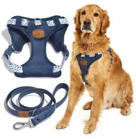 Premium Dog Harness and Leash Set for Ultimate Con, Bowie