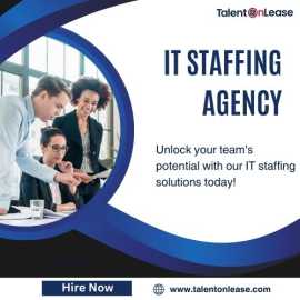 IT Staffing Agency, Noida