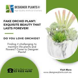 Fake Orchid Plant: Exquisite Beauty that Lasts For, Braeside