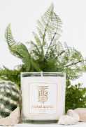 Best High End Smelling Candles Online – Thomas Blo, $ 0