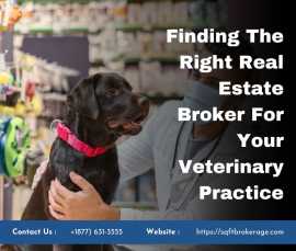 Finding The Right Real Estate Broker Veterinary, New York