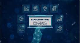 Partner with India's Trusted SAP HANA Experts, Ahmedabad