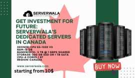 Buy Serverwala best Dedicated server in canada, Calgary