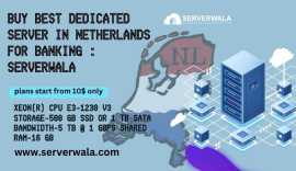 Buy Best Dedicated Server in Netherlands, Appingedam