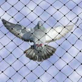 Anti Bird Netting Services in Nagpur, Nagpur