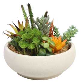 Grab These Stunning Artificial Succulents , $ 49