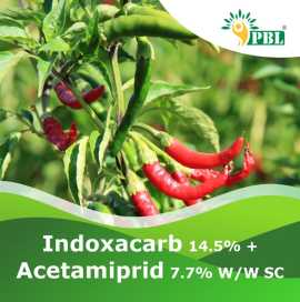 Indoxacarb 14.5% + Acetamiprid 7.7% w/w sc , Delhi