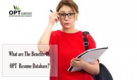 What are The Benefits Of OPT Resume Database?, New York