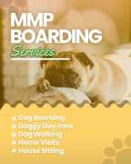 Affordable Dog Boarding Services  Kolkata, Kolkata