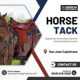 Horse Tack in San Juan Capistrano, $ 0