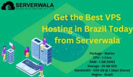 Get the Best VPS Hosting in Brazil | Serverwala, Acrelandia