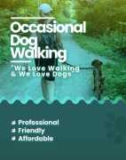 Searching Best Dog Walking Services Near You in  K, Kolkata