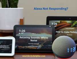 Echo Show Not Responding | Alexa Not Responding