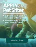Dog Sitter in Ahmedabad for Home, Ahmedabad