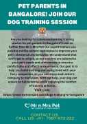 Pet Parents in Bangalore! Join Our Dog Training Se, Bengaluru