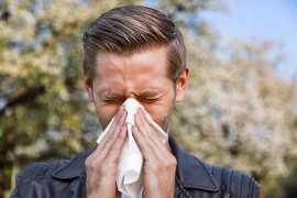 Top Natural Treatments for Respiratory Allergies, Jaipur