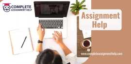 Online Assignment Help in the United States, Greenville