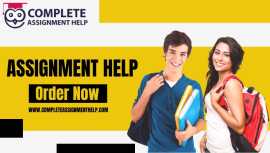 Get Assignment Helper Online Services, Greenville
