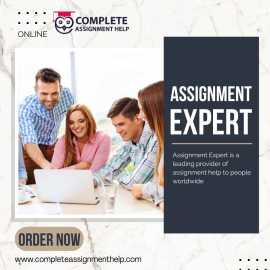 PhD Qualified Assignment Experts, Greenville