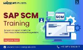 SAP SCM Course Fees, Noida