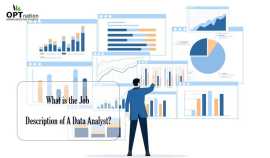 What Is The Job Description Of A Data Analyst?, Baltimore
