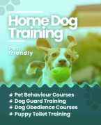 Dog Training in Bangalore: Get an Experienced Dog , Bengaluru