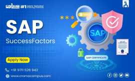 Sap Success Factor Training At Croma Campus, Noida