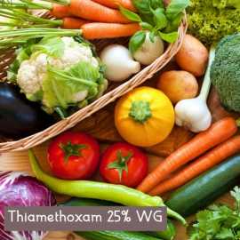 Thiamethoxam 25% WG | Peptech Bioscience Ltd | , Delhi