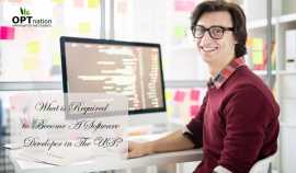 What is Required to Become A Software Developer?, Texas City