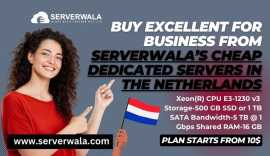 Buy Serverwala’s Dedicated Server in Netherlands, Aldeboarn