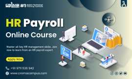 Best Payroll Course, Noida