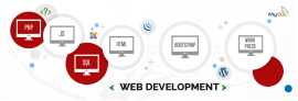 Choose the right Web Development Company for your , Coimbatore