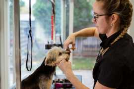 Here’s How the Top Pet Grooming Software Stacks Up, Chicago