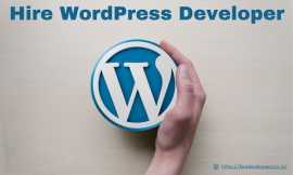 Hire Wordpress developers Check Requirements Onlin, Delhi