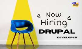 Hire Skilled Drupal Developers For Freelance Work, Delhi