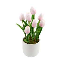 Stunning Range of Artificial Plants for Sydney, $ 49